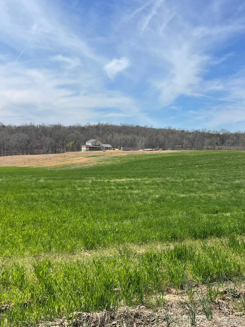 Image for 423 +/- Ac in Charlotte County, VA