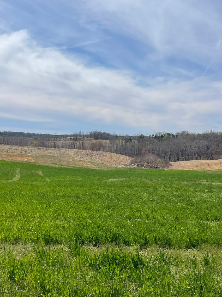 Image for 423 +/- Ac in Charlotte County, VA