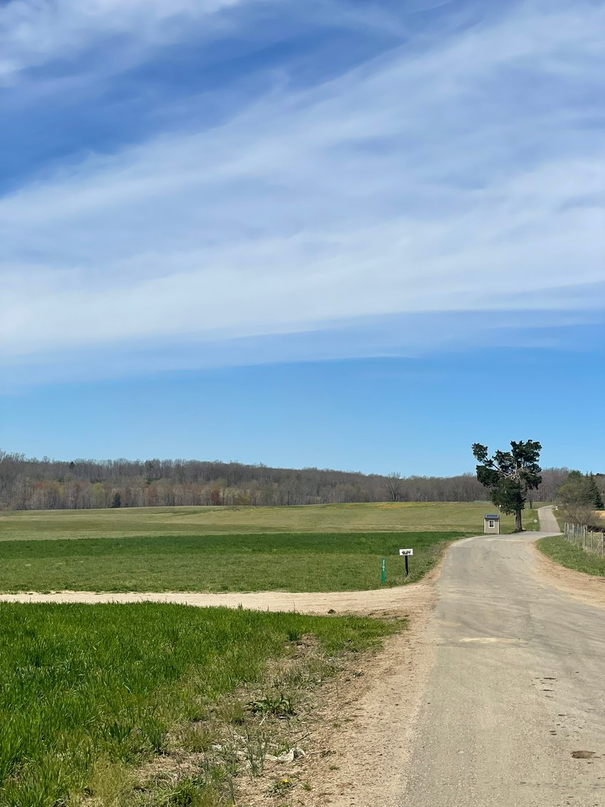 Image for 423 +/- Ac in Charlotte County, VA