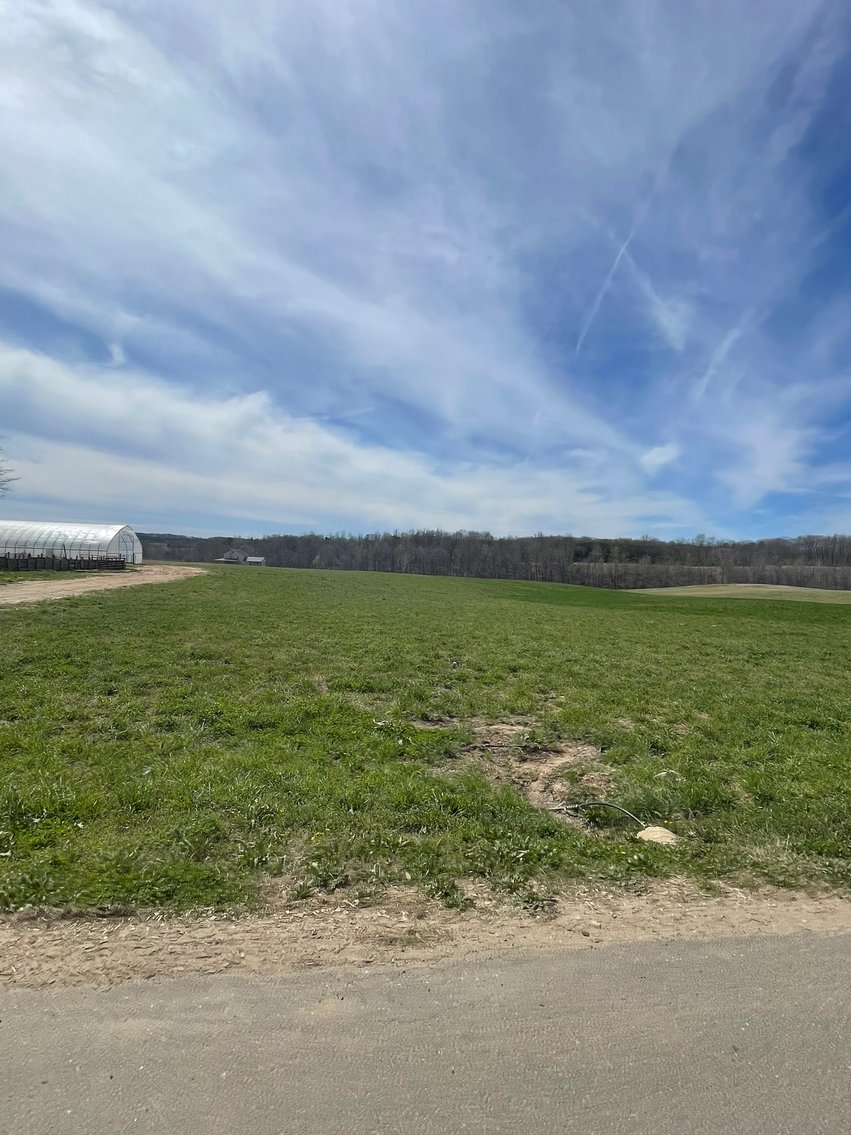 Image for 423 +/- Ac in Charlotte County, VA