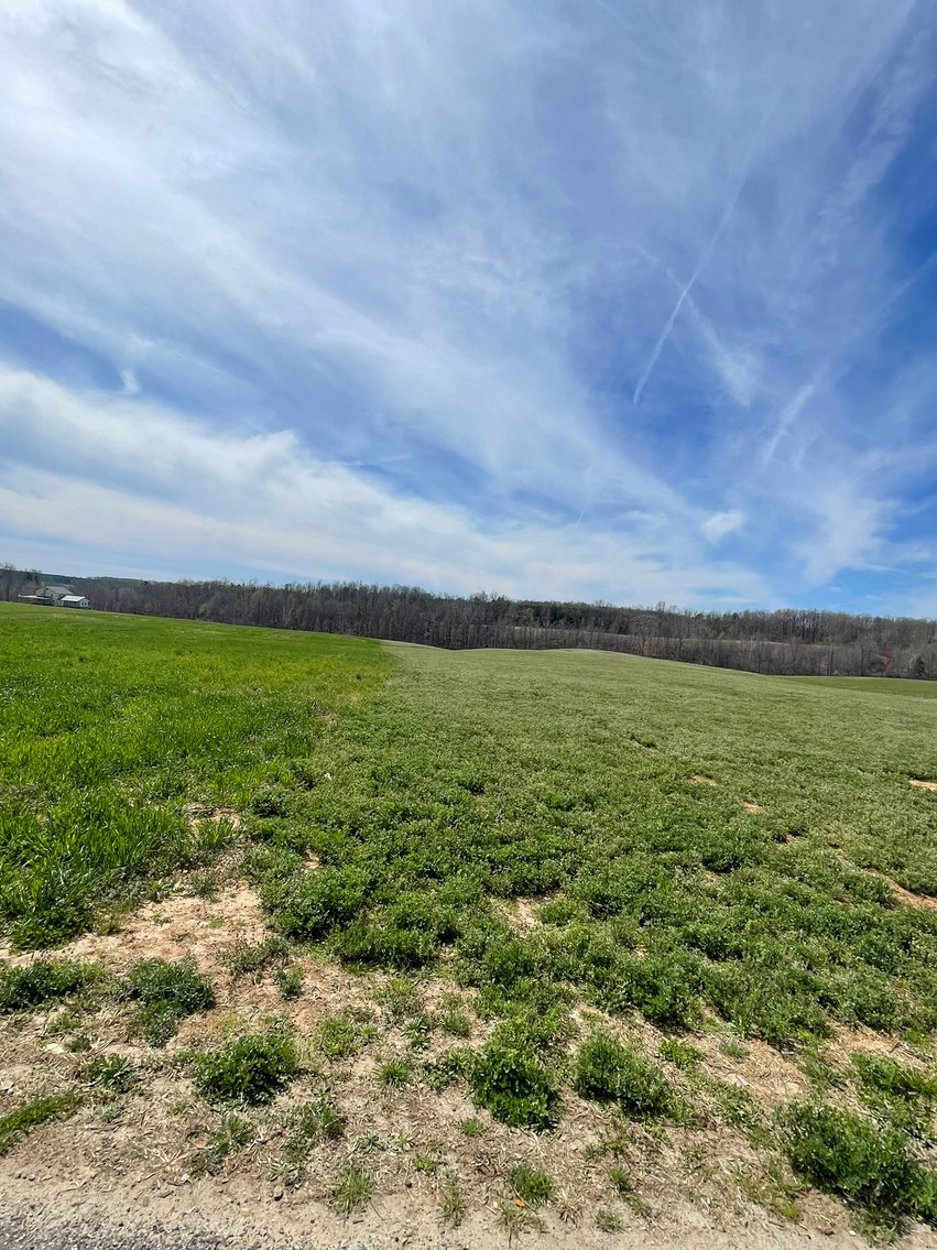 Image for 423 +/- Ac in Charlotte County, VA