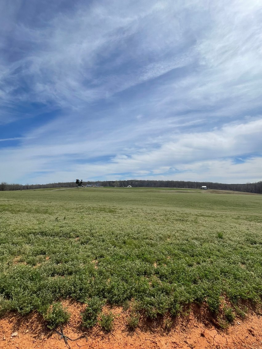 Image for 423 +/- Ac in Charlotte County, VA