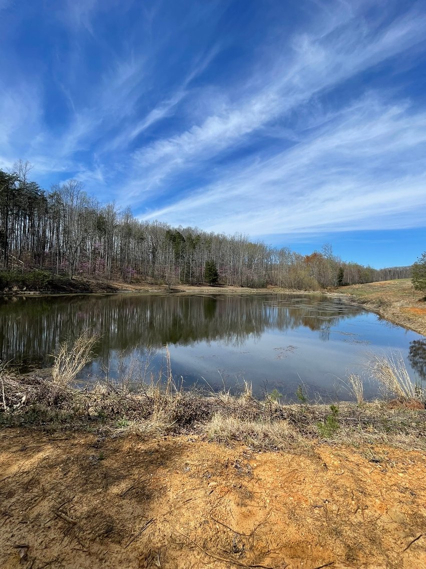 Image for 423 +/- Ac in Charlotte County, VA