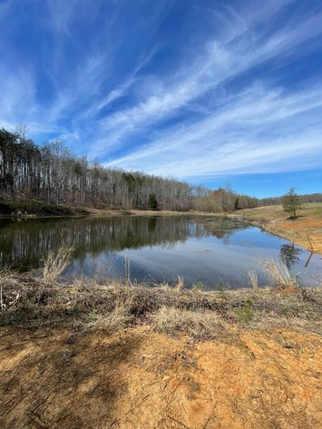 Image for 423 +/- Ac in Charlotte County, VA