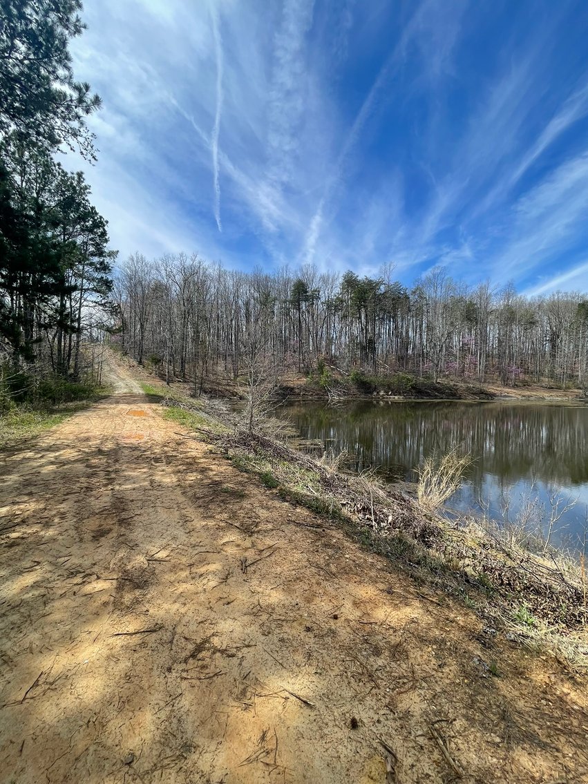 Image for 423 +/- Ac in Charlotte County, VA