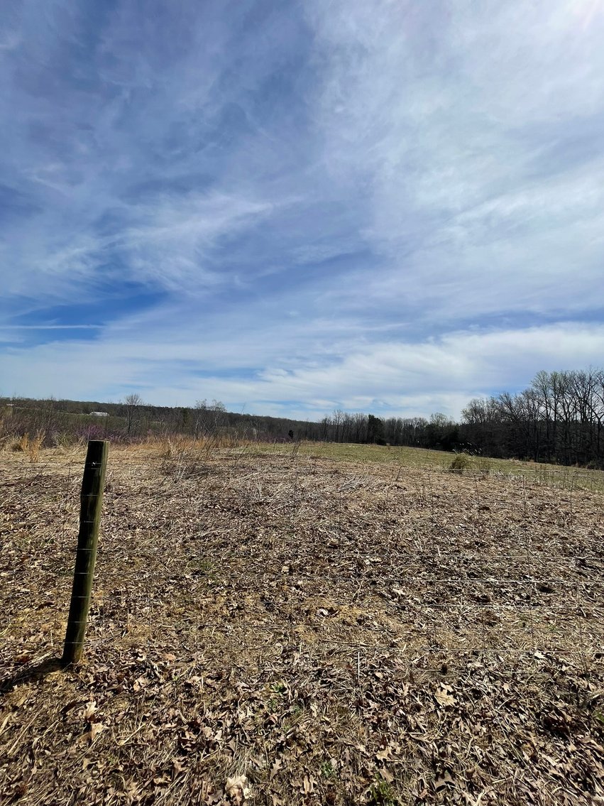 Image for 423 +/- Ac in Charlotte County, VA