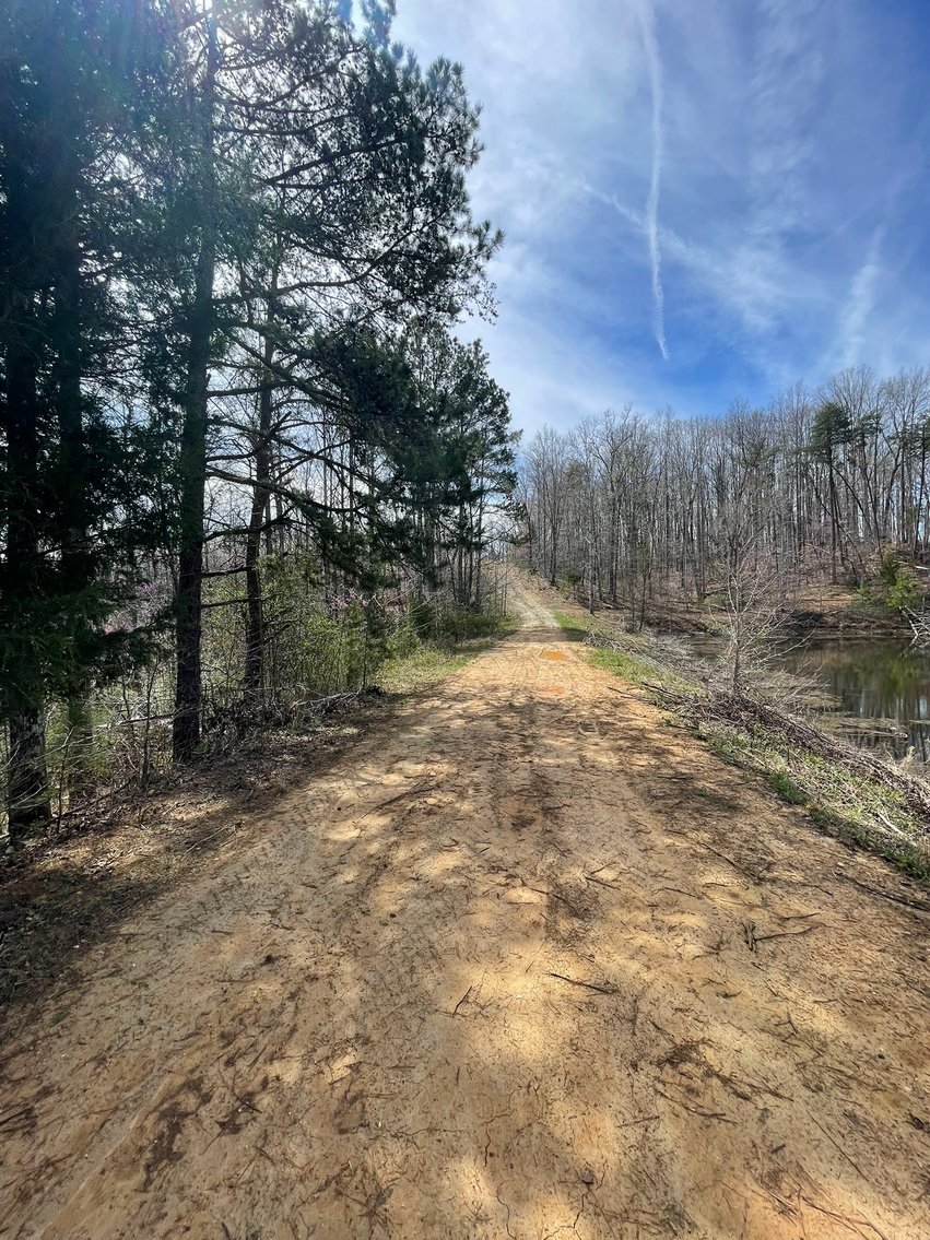 Image for 423 +/- Ac in Charlotte County, VA