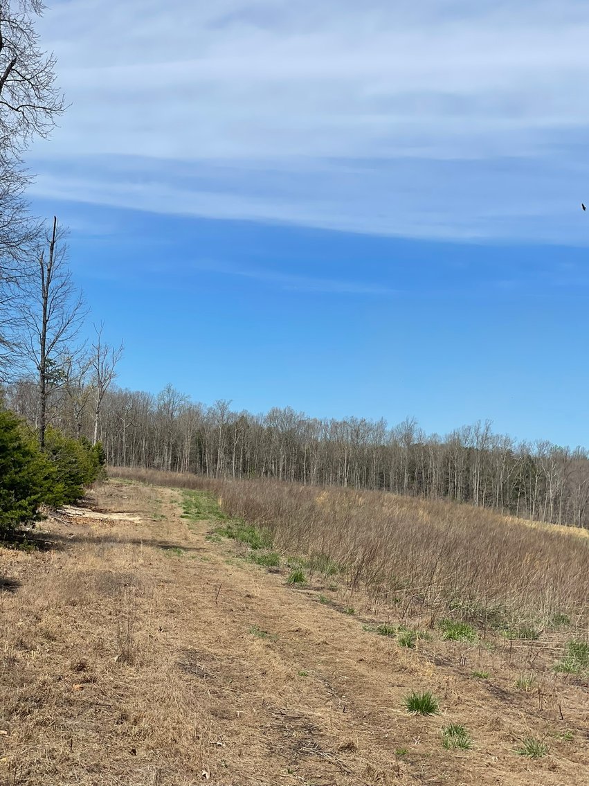 Image for 423 +/- Ac in Charlotte County, VA