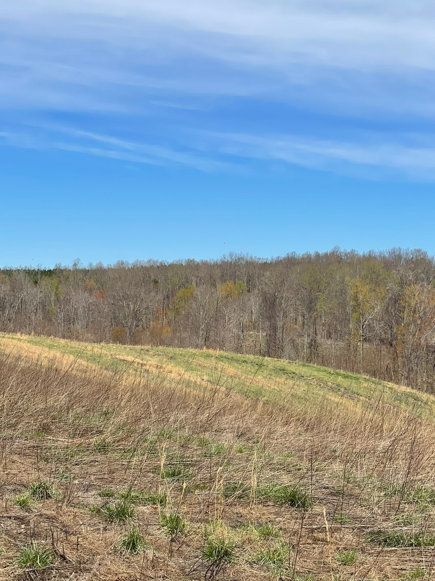 Image for 423 +/- Ac in Charlotte County, VA