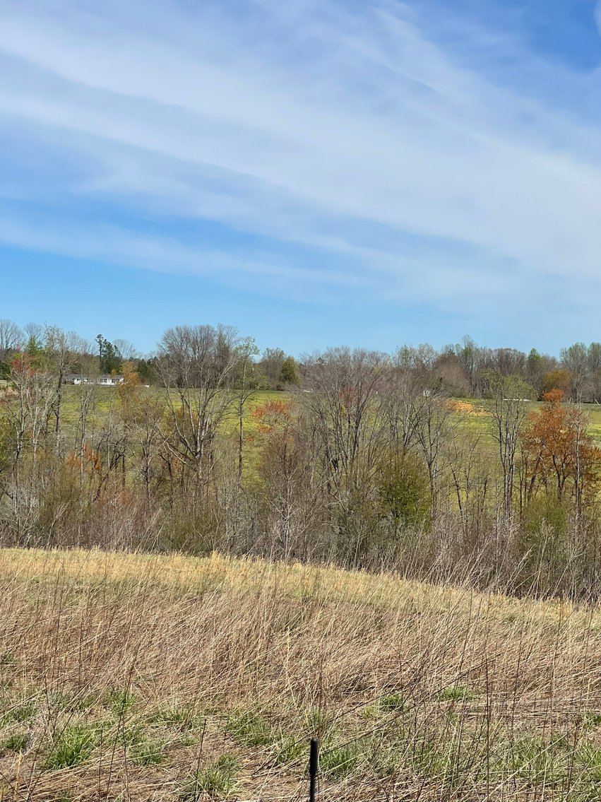 Image for 423 +/- Ac in Charlotte County, VA