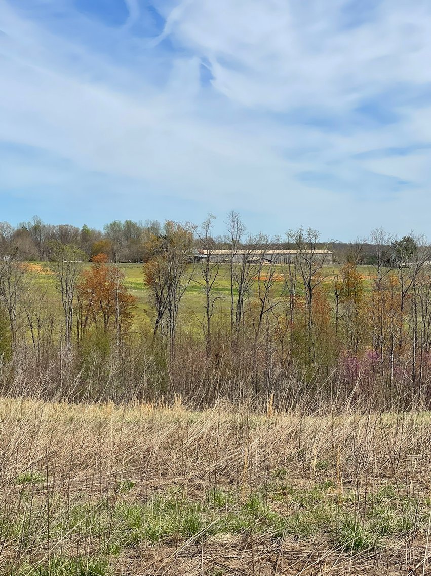 Image for 423 +/- Ac in Charlotte County, VA