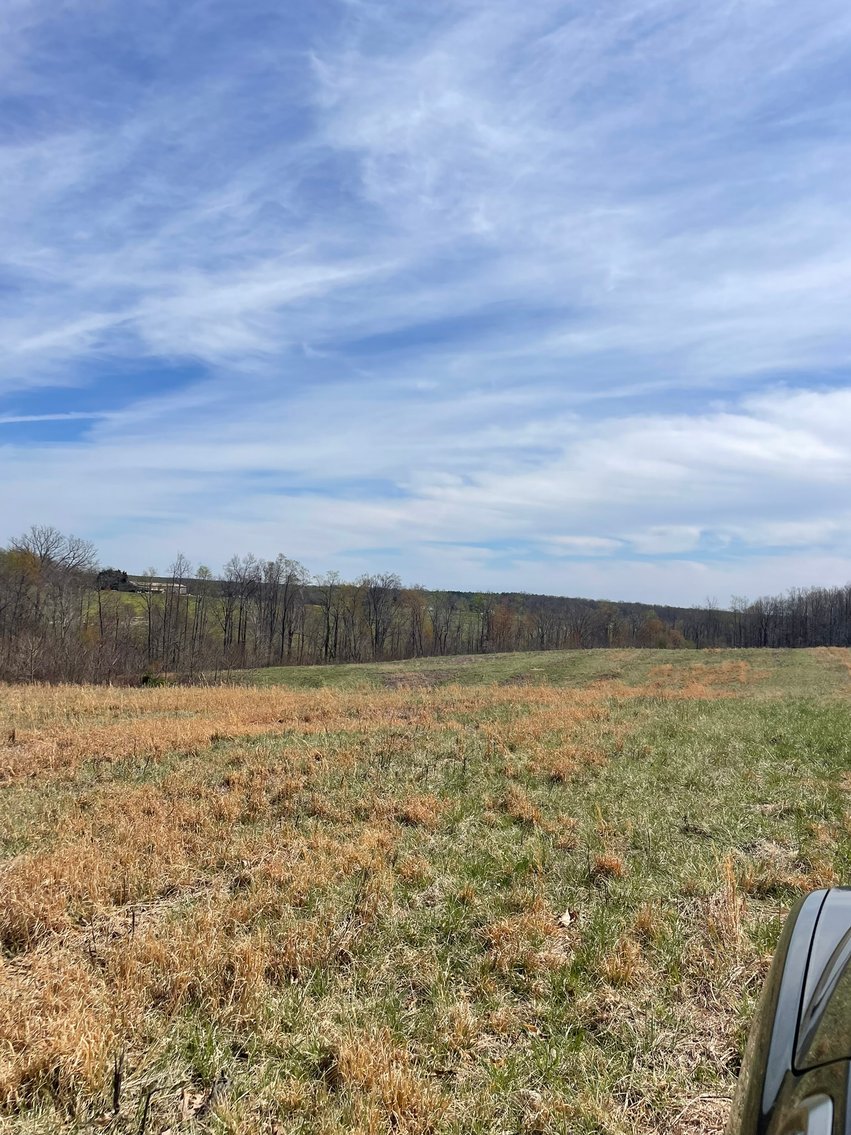 Image for 423 +/- Ac in Charlotte County, VA