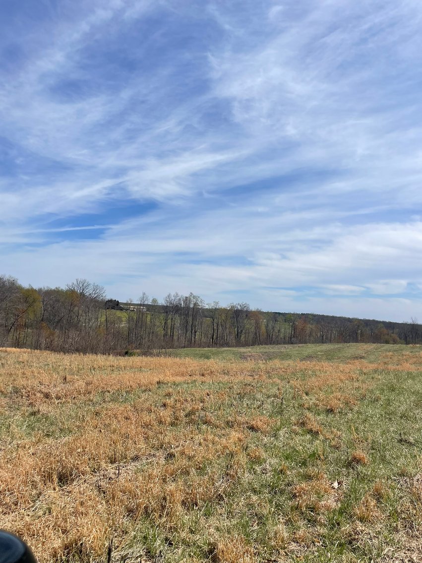 Image for 423 +/- Ac in Charlotte County, VA