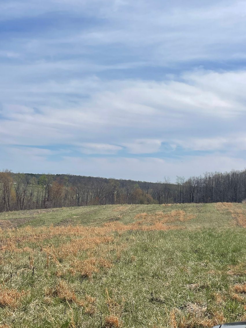 Image for 423 +/- Ac in Charlotte County, VA