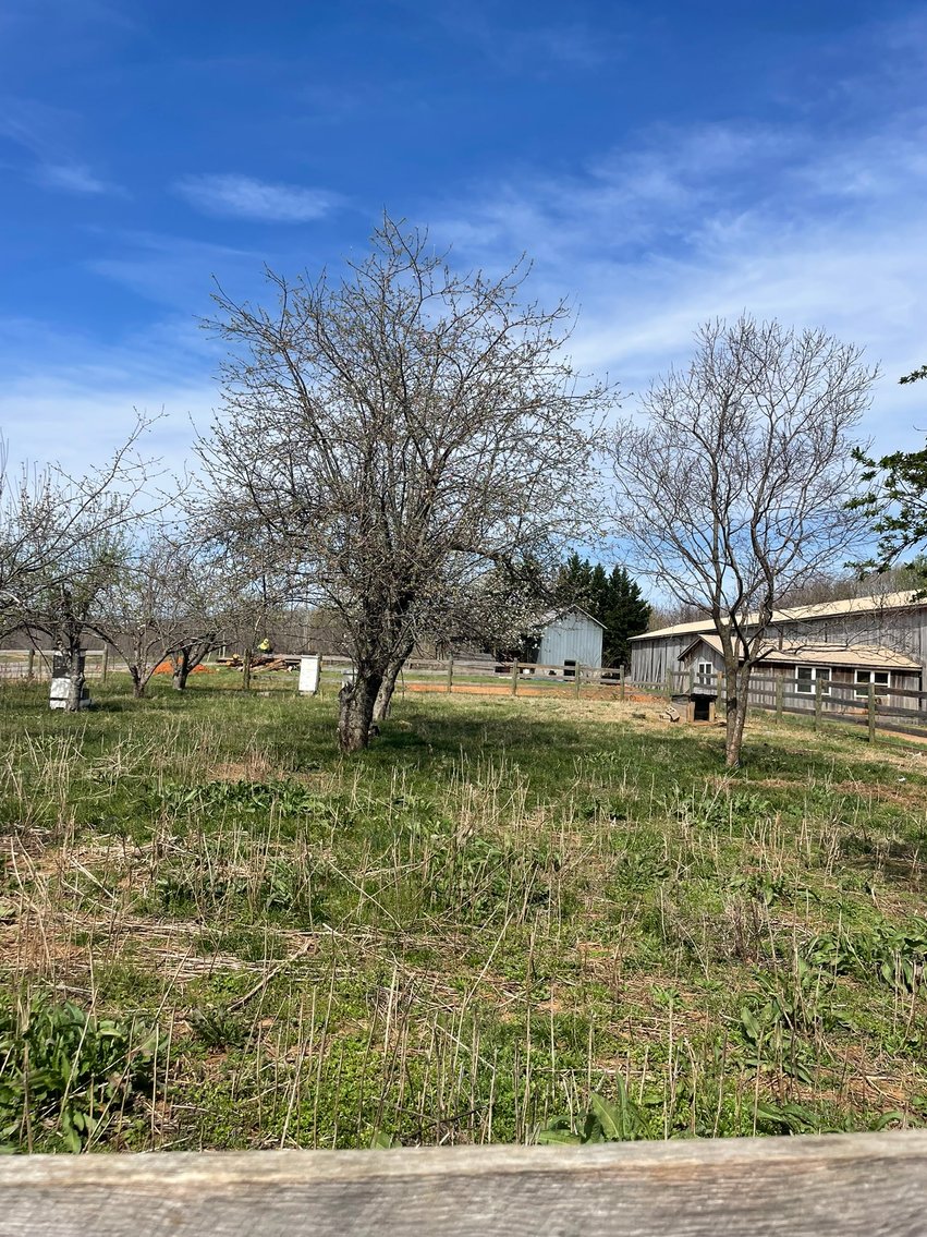 Image for 423 +/- Ac in Charlotte County, VA