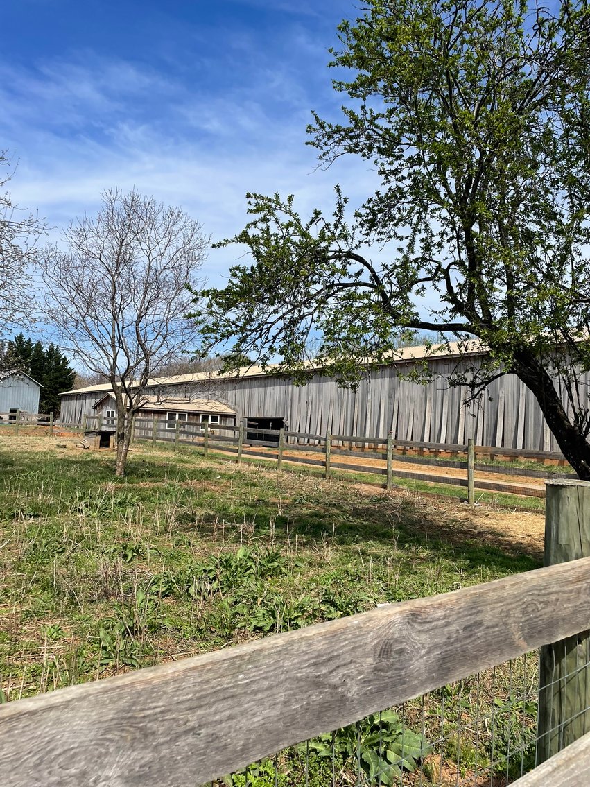 Image for 423 +/- Ac in Charlotte County, VA