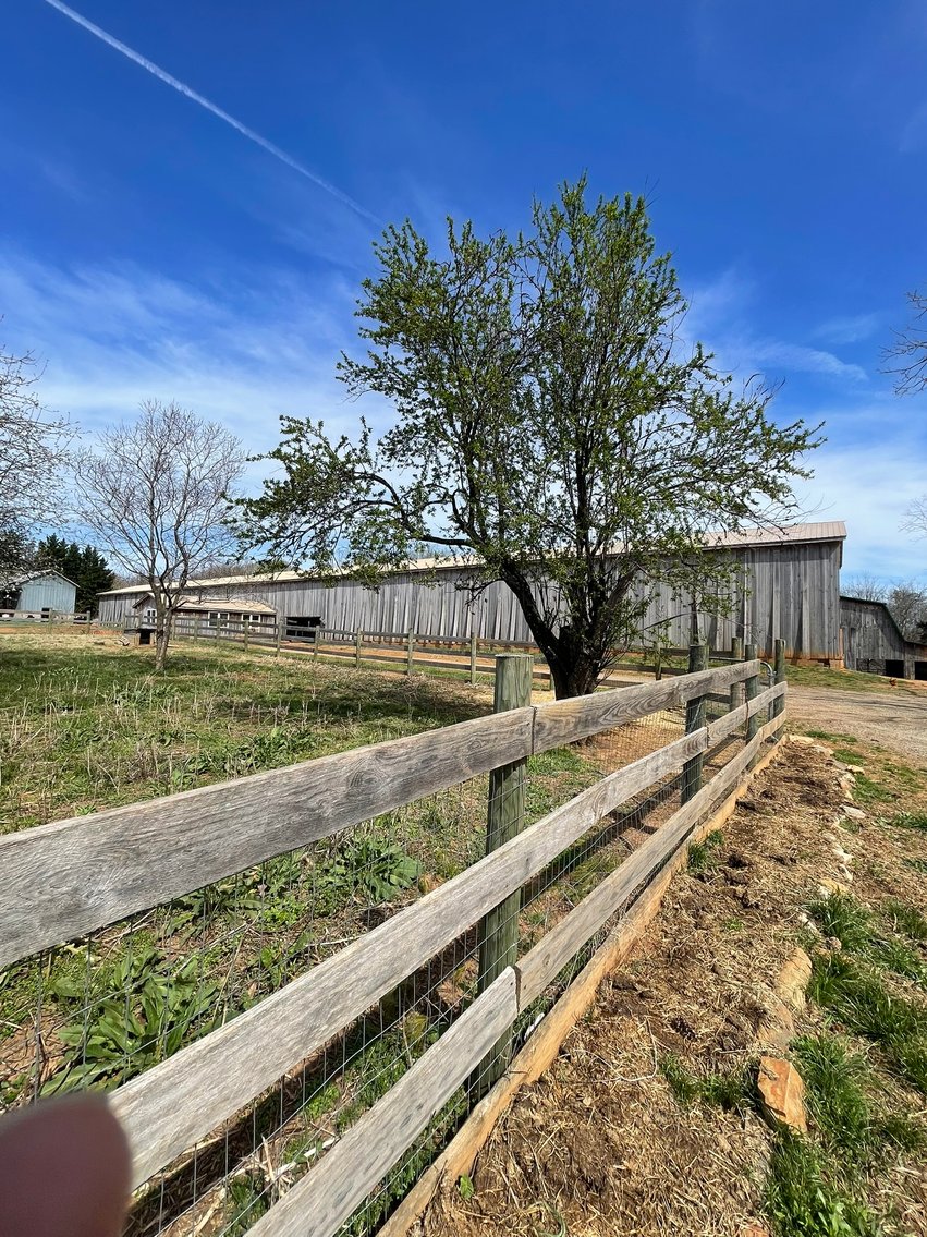 Image for 423 +/- Ac in Charlotte County, VA