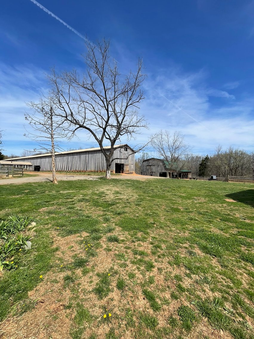 Image for 423 +/- Ac in Charlotte County, VA