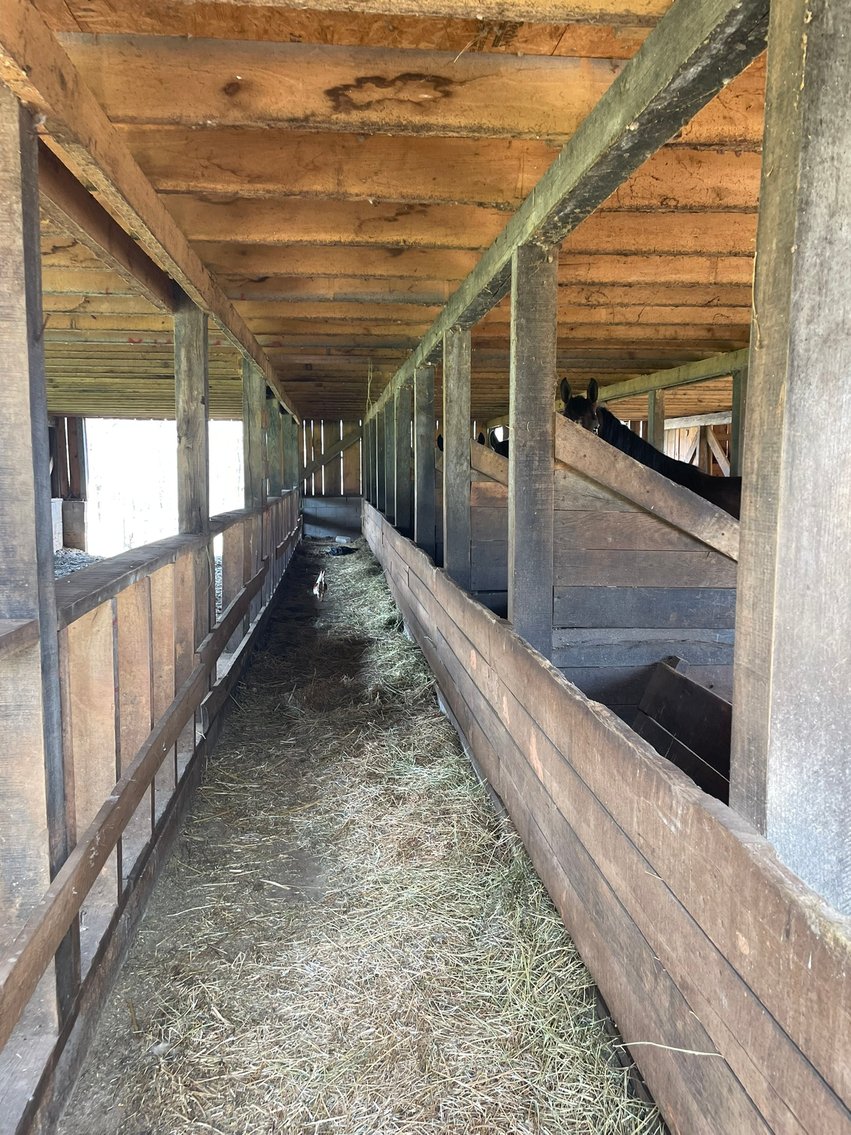 Image for 423 +/- Ac in Charlotte County, VA