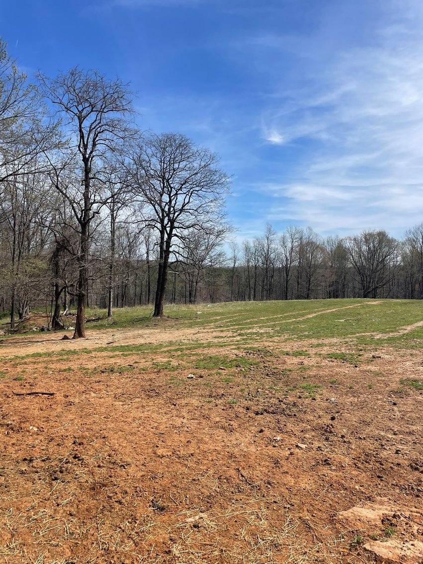 Image for 423 +/- Ac in Charlotte County, VA