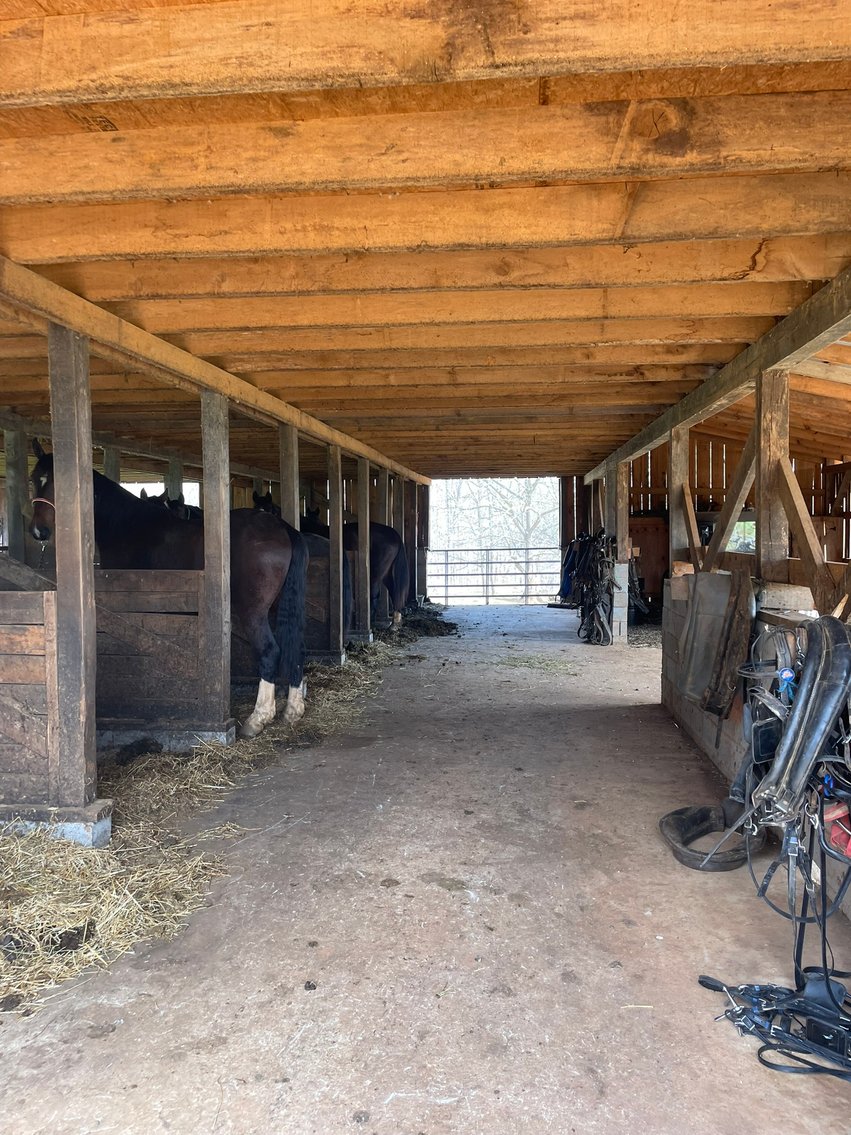 Image for 423 +/- Ac in Charlotte County, VA