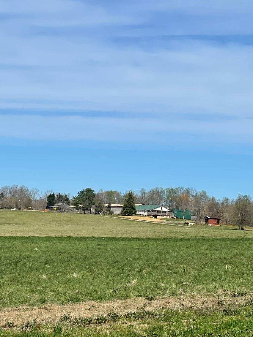 Image for 423 +/- Ac in Charlotte County, VA