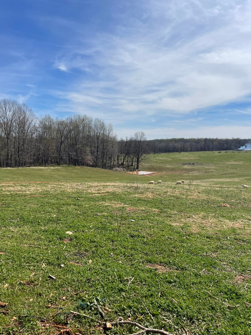 Image for 423 +/- Ac in Charlotte County, VA