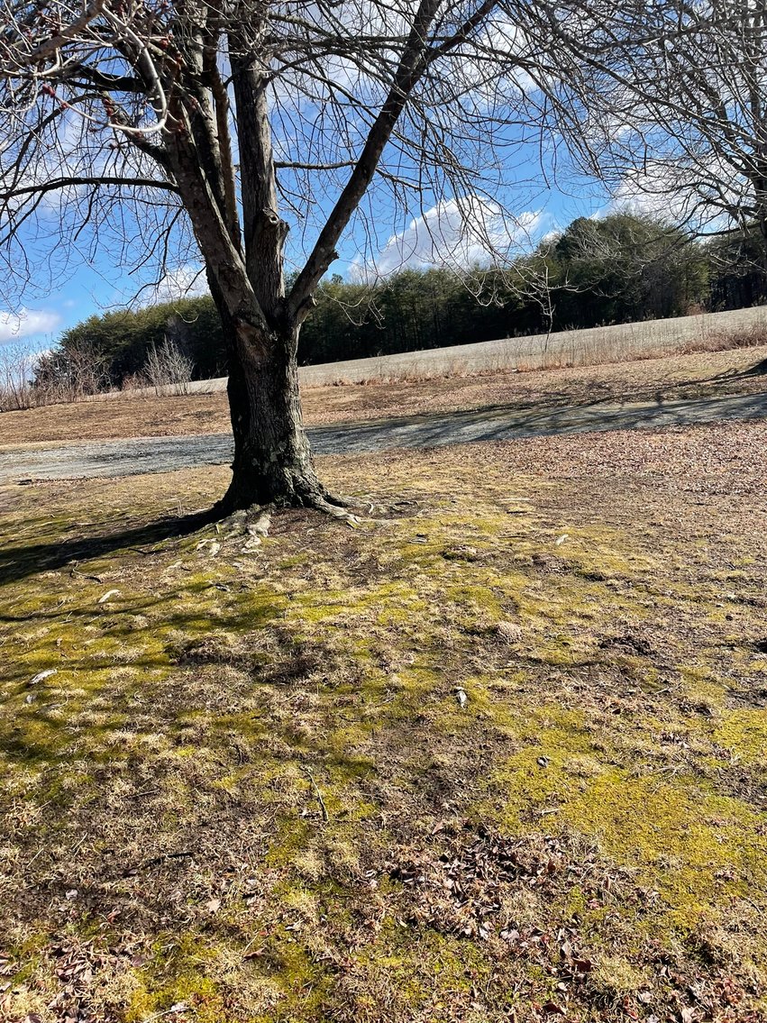 Image for 1981 & 2037 Piney Grove Rd, Gretna, VA 24557