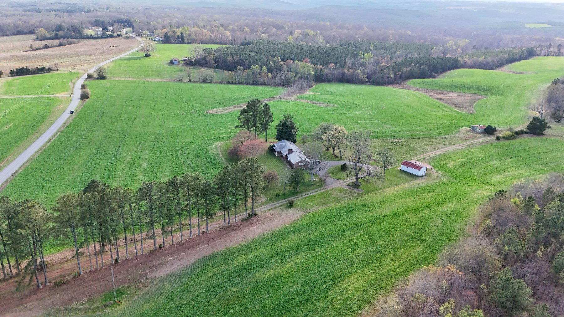 Image for 120 Acres In Gladys Being Sold in Multiple Tracts
