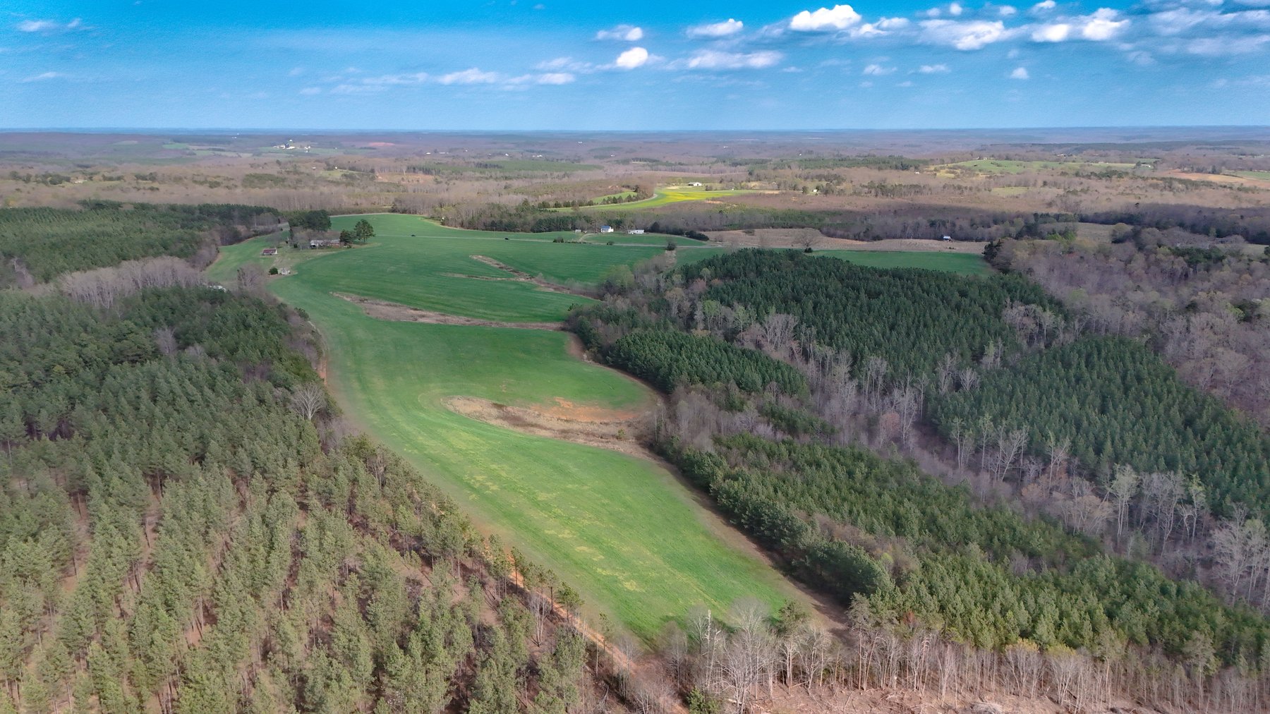 Image for 120 Acres In Gladys Being Sold in Multiple Tracts