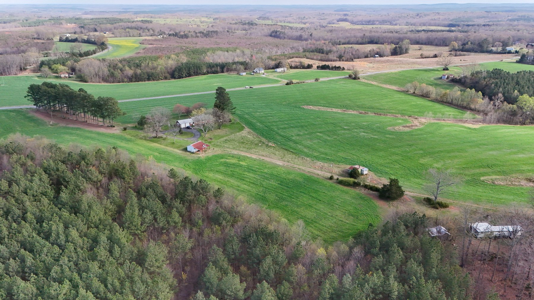 Image for 120 Acres In Gladys Being Sold in Multiple Tracts