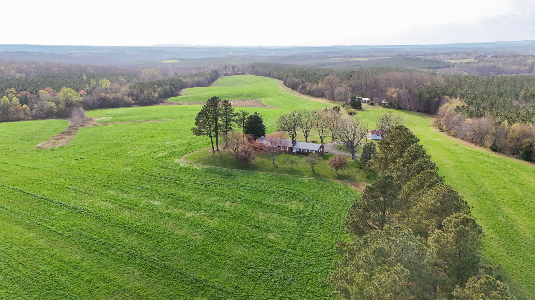 Image for 120 Acres In Gladys Being Sold in Multiple Tracts