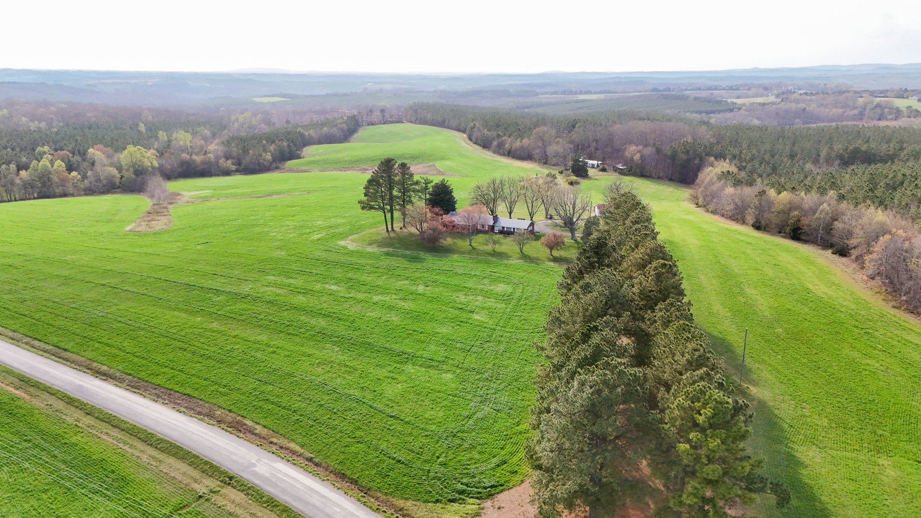 Image for 120 Acres In Gladys Being Sold in Multiple Tracts