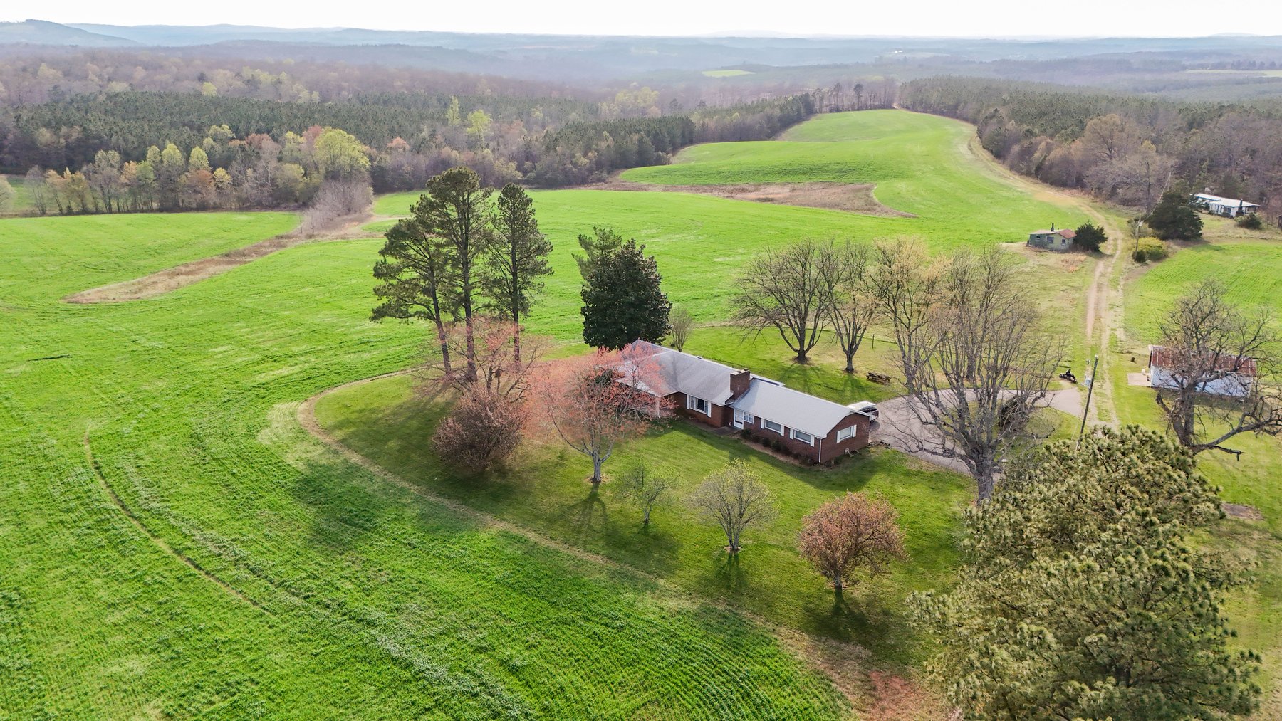 Image for 120 Acres In Gladys Being Sold in Multiple Tracts