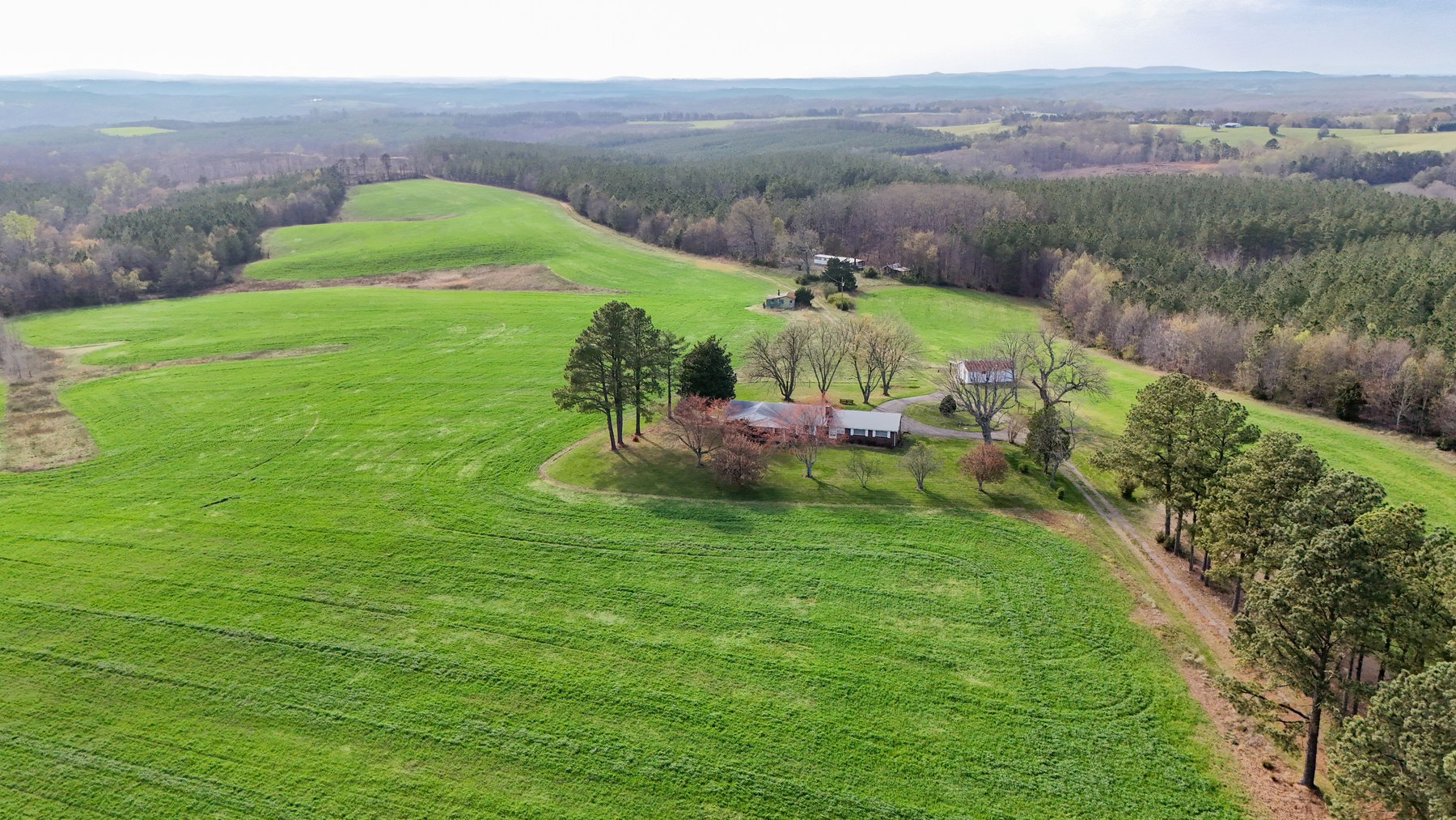 Image for 120 Acres In Gladys Being Sold in Multiple Tracts