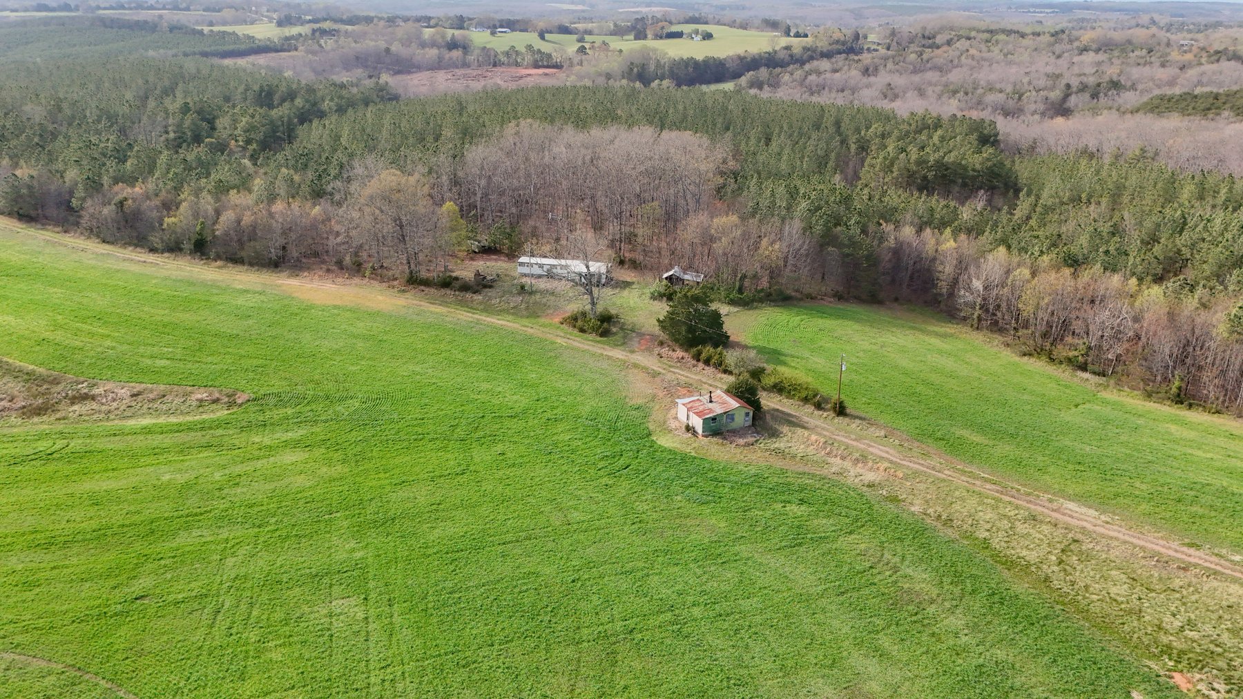 Image for 120 Acres In Gladys Being Sold in Multiple Tracts
