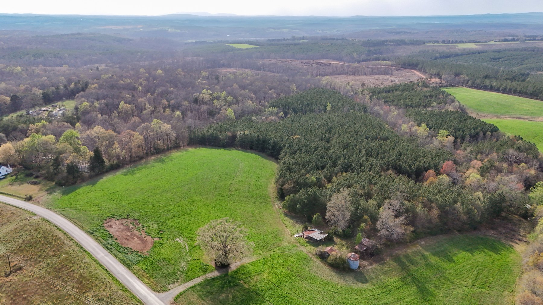 Image for 120 Acres In Gladys Being Sold in Multiple Tracts