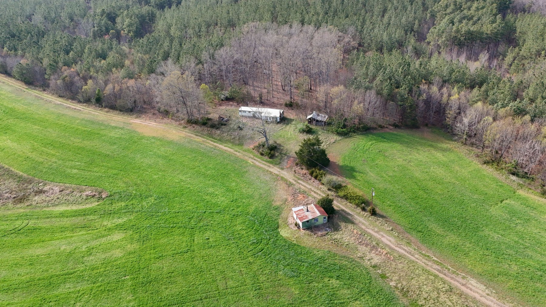 Image for 120 Acres In Gladys Being Sold in Multiple Tracts