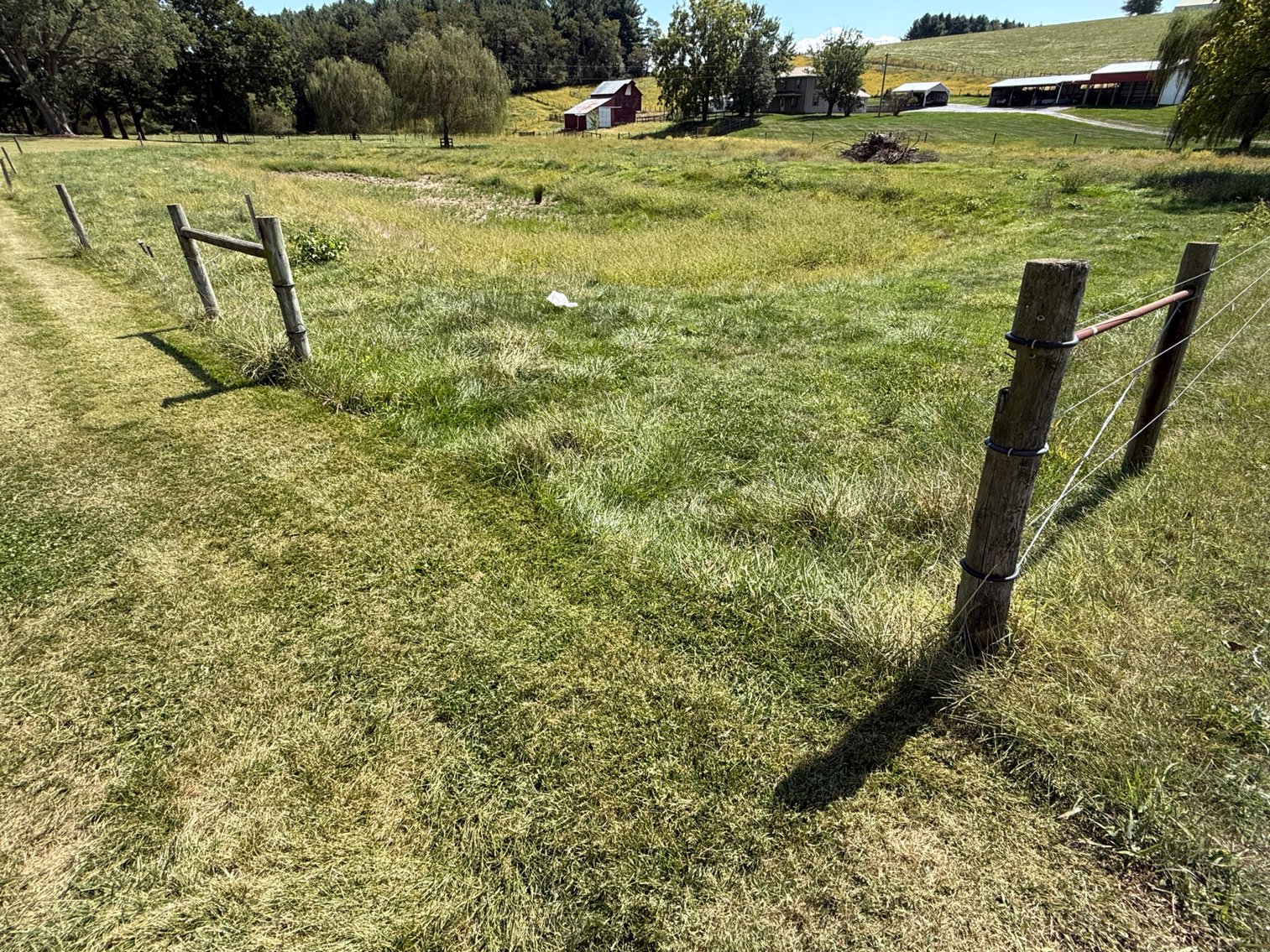 Image for 4BR/2BA Brick Ranch Home on 10+ Acres