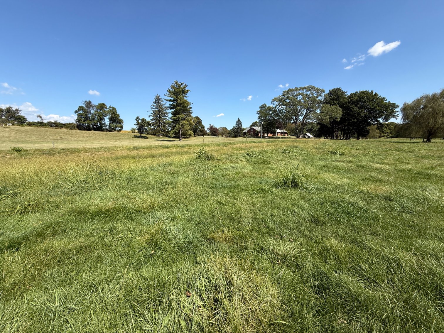 Image for 4BR/2BA Brick Ranch Home on 10+ Acres