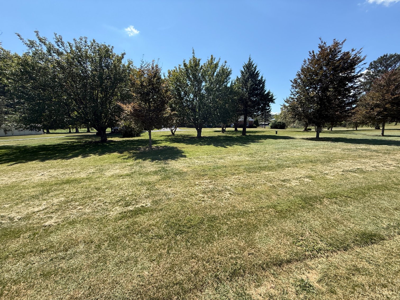 Image for 4BR/2BA Brick Ranch Home on 10+ Acres