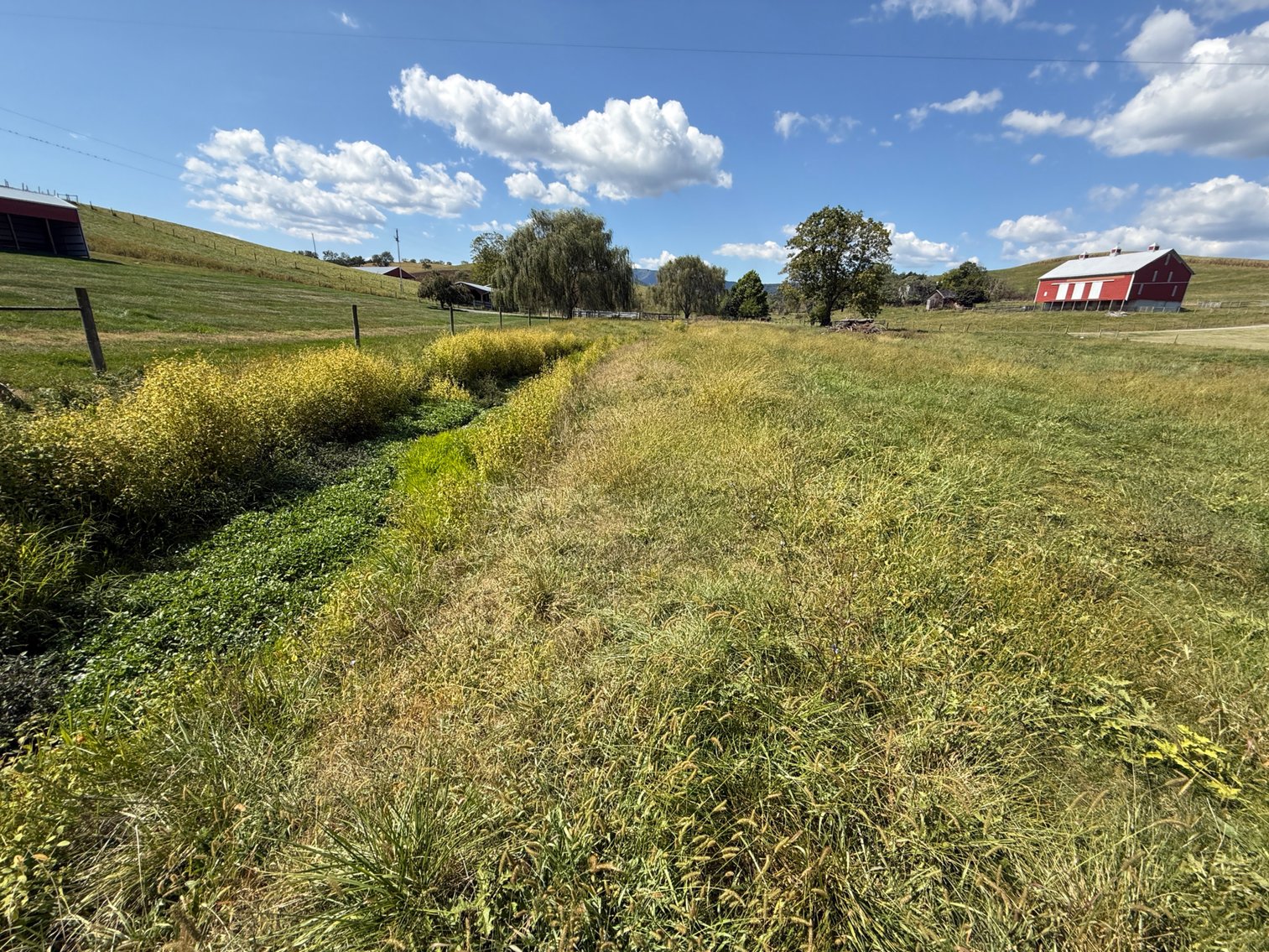 Image for 4BR/2BA Brick Ranch Home on 10+ Acres