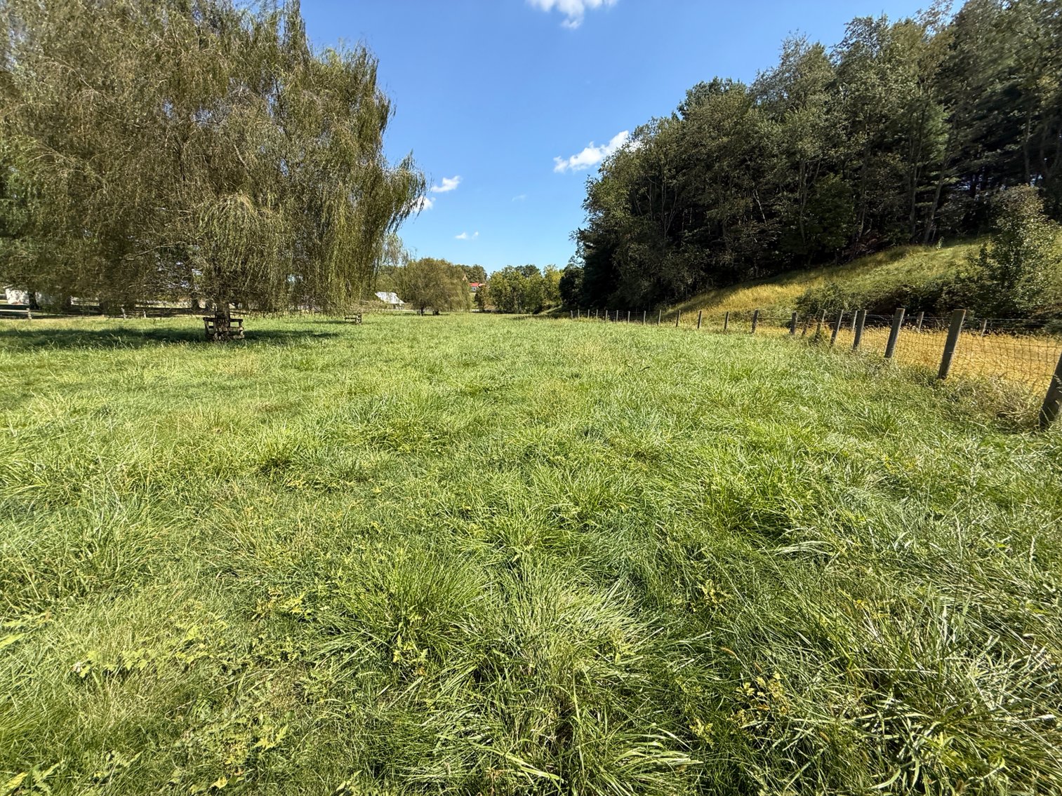 Image for 4BR/2BA Brick Ranch Home on 10+ Acres