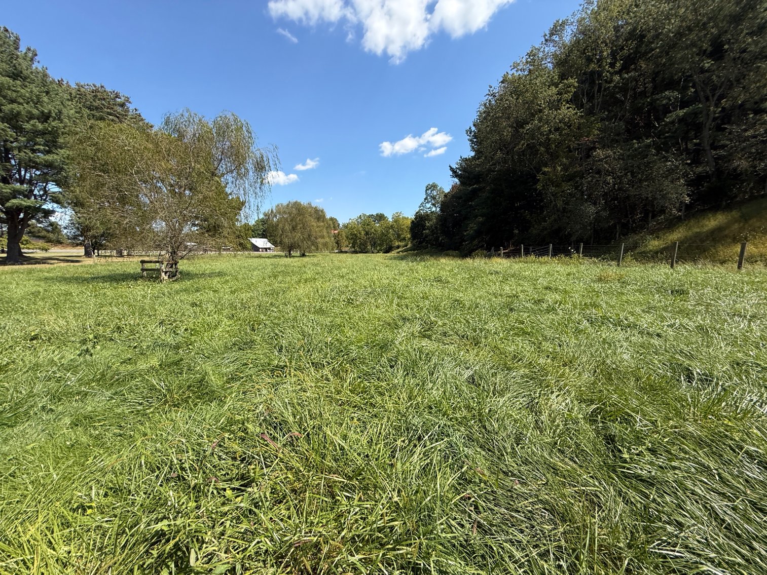 Image for 4BR/2BA Brick Ranch Home on 10+ Acres
