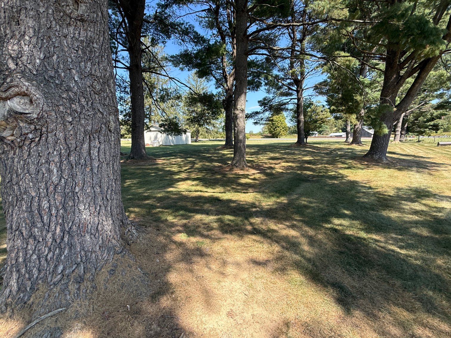 Image for 4BR/2BA Brick Ranch Home on 10+ Acres