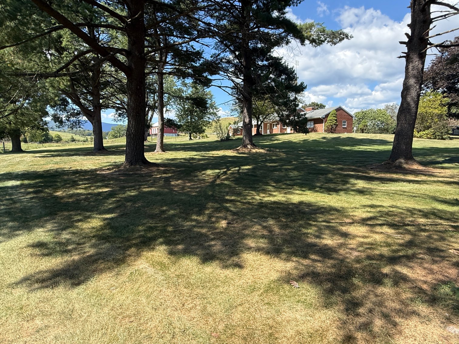 Image for 4BR/2BA Brick Ranch Home on 10+ Acres