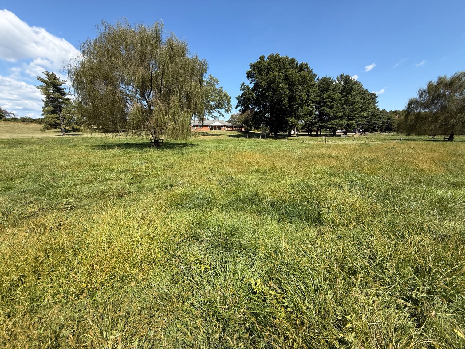 Image for 4BR/2BA Brick Ranch Home on 10+ Acres