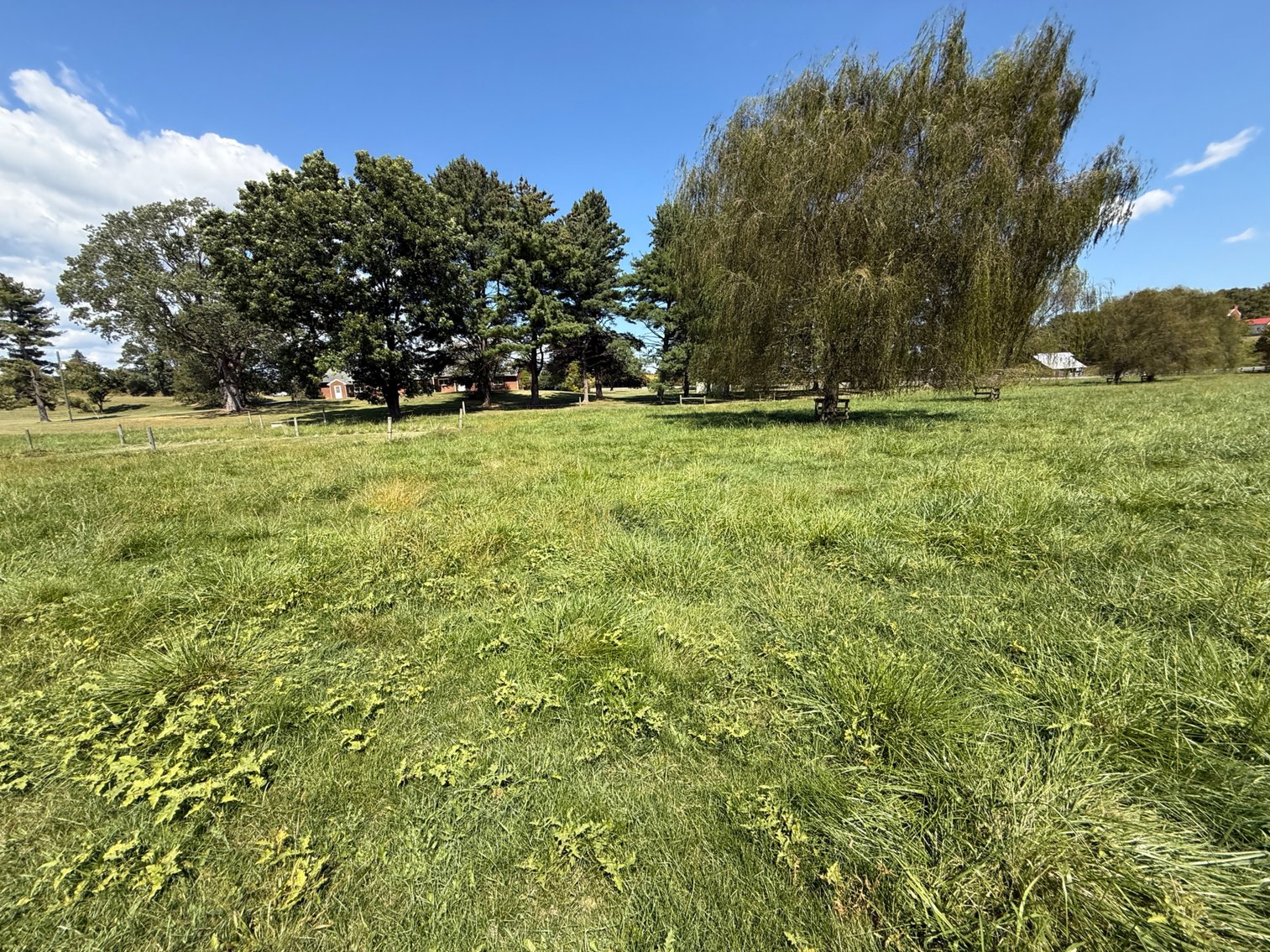 Image for 4BR/2BA Brick Ranch Home on 10+ Acres