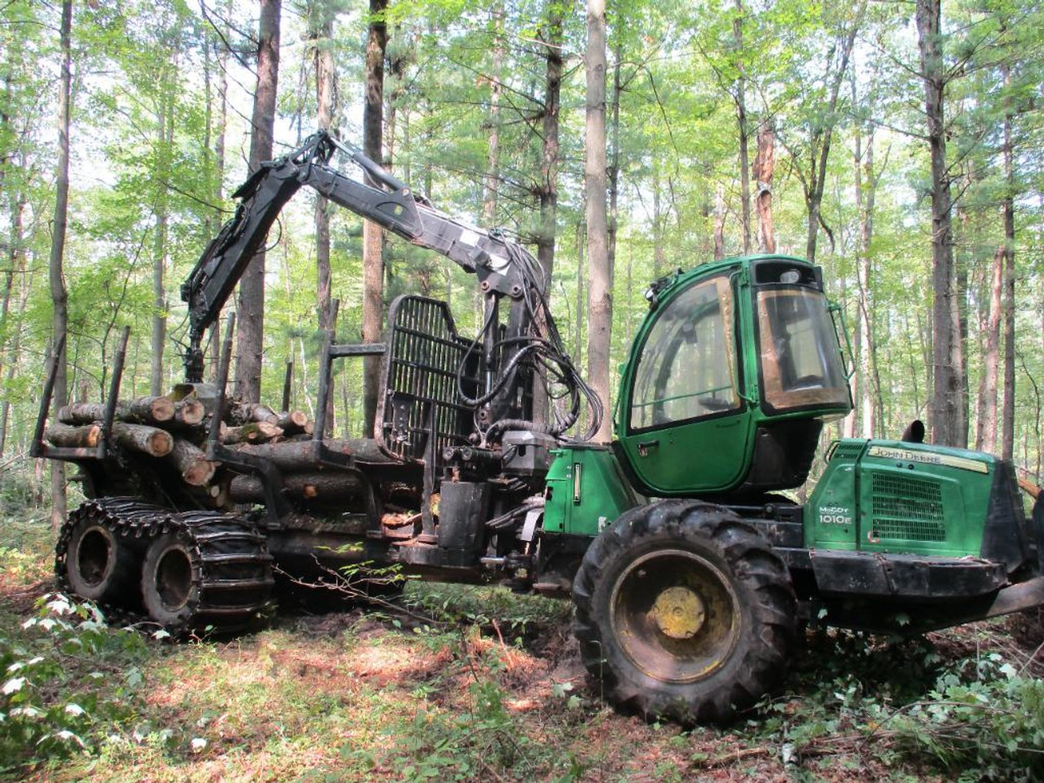 Image for WI Logging & Sawmill Consignment Auction - Multiple Locations