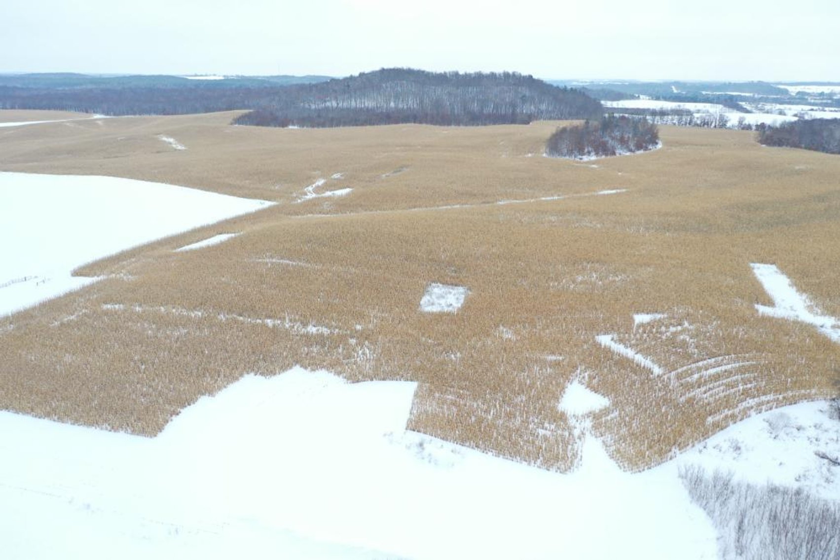 Image for 160(+/-) Acres w/House and Out-Buildings - New Auburn, WI